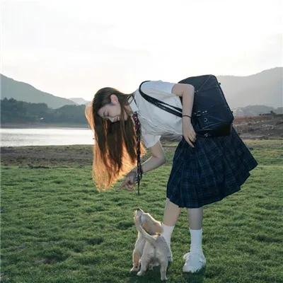白色酢浆草
