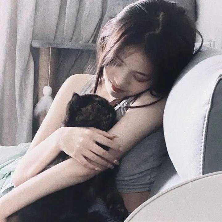 沙漠大冒险：剧集